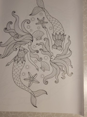 MYTHICAL CREATURES & MORE – ADULT COLORING BOOK – 48 Pages – Brilliant Escapes