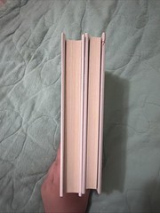 Shinkai Makoto Light Novel Your Name And The Garden Of Words Set Of 2 English