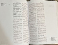 KJV Journaling Bible with Prompts [Copper Leaf] by Compiled by Barbour Staff