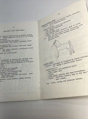 1979 Horsemanship Manual “Honey Rock Camp” Wheaton, IL. By Judy Meyer 32 Pages