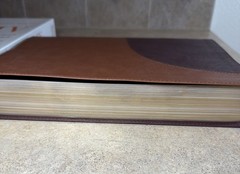 Thomas Nelson King James Holy Bible Giant Print Soft Leather KJV Brown