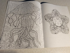 BRILLIANT ESCAPES – ADULT COLORING BOOK -48 Pages Of Summer – Suns, Animals-MORE