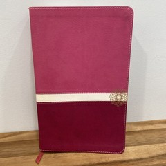 NIV Real-Life Devotional Bible for Women, Compact: Insights for Everyday Life