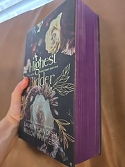 Decadent Collector’s Edition: Highest Bidder By Willow Winters & Lauren Landish