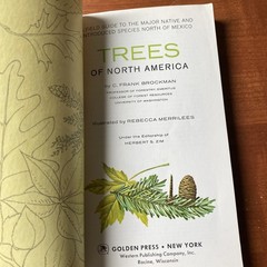 Guide to Field Identification Birds North America Golden Field Guide 1966 Trees