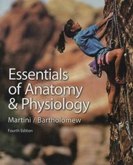 Essentials of Anatomy And Physiology by Martini, Ric,Bartholomew, Ed, Acceptable