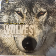National Geographic Face To Face With Wolves
