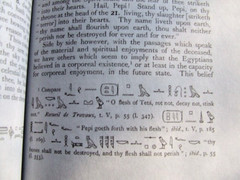 Egyptian Book of the Dead : The Complete Papyrus of Ani by E.A. Wallis Budge PB