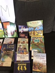 10 Books $15. Second Grade Reading Level TEACHER/SCHOOL LITERACY Free Ship