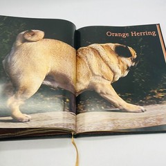 For The Love Of Pugs Book 1998 VTG Special Edition Robert Hutchinson EXC💥