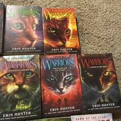 Lot of 21 Different WARRIORS Books by Erin Hunter ALL PAPERBACKS