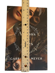 Across the Ages by Gabrielle Meyer Timeless Series Book 4 PB Pirates 1920’s