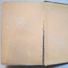The Flutes Of Shanghai – Louise Jordan Miln – Frederick Stokes Co 1928 356 Pages