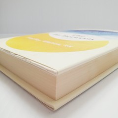 The In-Between Book Encounters During Life’s Final Moments Hadley Vlahos HC
