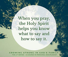 Strengthen Your Faith: Rooted in God’s Family (The 2:7 Series)