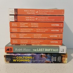 Mills and Boon Books – Bulk Bundle x 15 Western Themed Stories (2292)