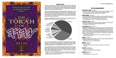 LARGE PRINT RESTORED NAMES BIBLE & 2 FREE Books