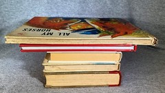 Horse Equestrian Books 29 in Lot 5HC & 24PB Chapter Picture Riding Veterinarian