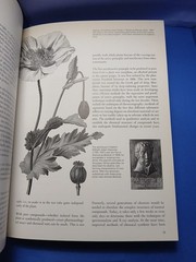Plants of the Gods Origins of Hallucinogenic Use Schultes Evans Hoffman 1979