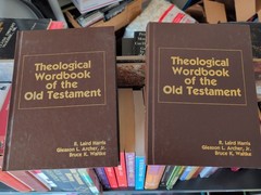 MINISTER’S BIBLE & BOOK LOT J4: 4 Bibles/Theology/History/Reference/Sermons WOW