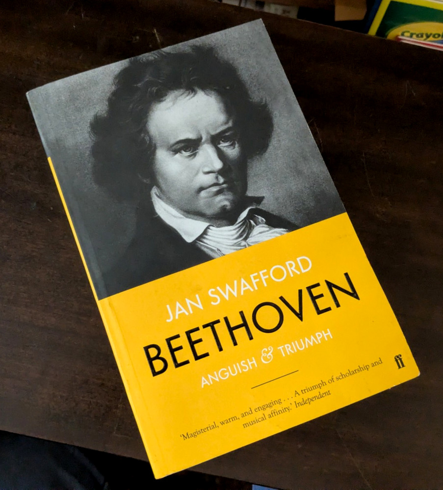 Beethoven: Anguish and Triumph by Jan Swafford (Softcover) FAST SHIPPING