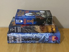 Robert Jordan 3 Book Lot Wheel Of Time.Book 1 PB,Book 9 Winters Heart 1st/1st HC