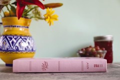 NIV, The Busy Mom’s Bible, Leathersoft over Board, Pink, Red Letter, Comfort…