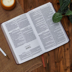 KJV Holy Bible: Gift and Award, Purple Leather-Look, Red Letter, Comfort Print: