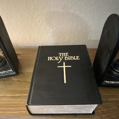 Douay-Rheims Holy Bible TAN Books 1899 Text Leather Bound Hardcover Catholic