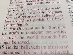 The Jack Van Impe PROPHECY BIBLE ~ Red Letter ~ Limited Special Edition KJV