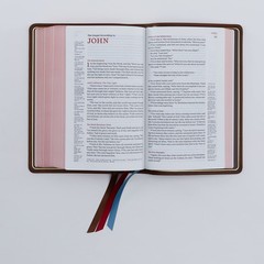 NKJV, Single-Column Reference Bible, Genuine Leather, Blue, Comfort Print: Holy