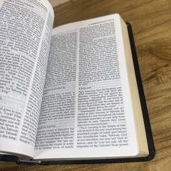 New Jerusalem Bible: Leather Edition Slipcase – Henry Wansbrough Catholic 1999