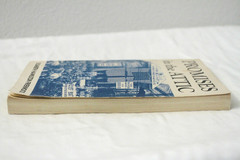Promises in the Attic by Elisabeth Hamilton Friermood (1975, PB)