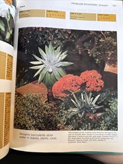 The New Sunset Western Garden Book VINTAGE 1981 Edition