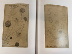 Hilma af Klint, Spiritualistic Drawings 1895-1910, Almquist, 2020, E-119