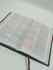 Thinline Bible by Zondervan Bibles Staff (2012, Leather, Special) Chocolate Brow