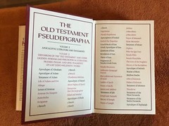 James H. Charlesworth Old Testament Pseudepigrapha vol 1 HB ’83 apocalyptic lit!