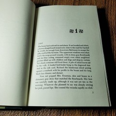 The Clock Winder Anne Tyler 1972 First Edition Fiction Alfred A. Knopf