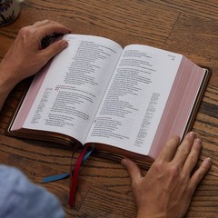 NKJV, Single-Column Reference Bible, Genuine Leather, Blue, Comfort Print: Holy
