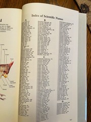 Vintage Reader’s Digest “BOOK of NORTH AMERICAN BIRDS”, hardcover, 576 pgs, Mint