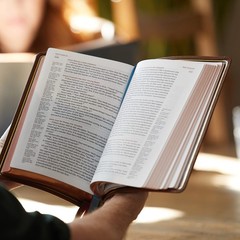 NKJV, Single-Column Reference Bible, Genuine Leather, Blue, Comfort Print: Holy