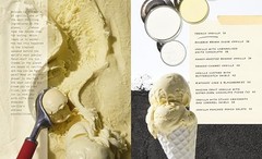 America’s Most Iconic Ice Creams: A Salt & Straw Cookbook: Classic Flavors and C