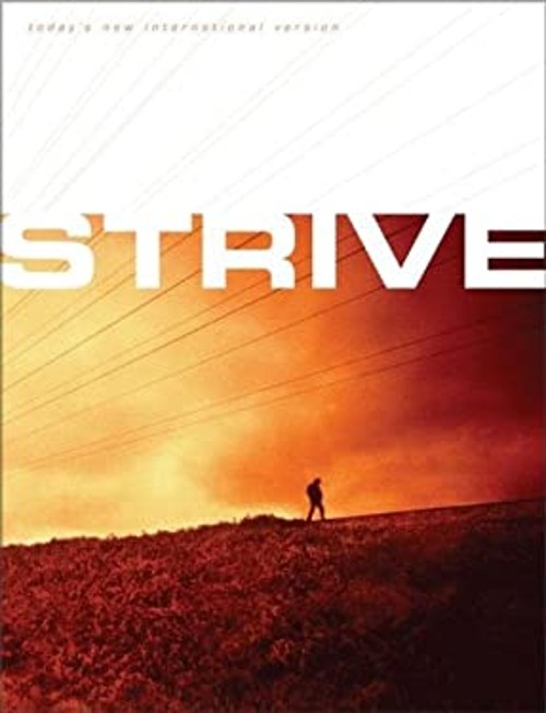 Strive : The Bible for Men Zondervan Staff Livingstone Corporatio