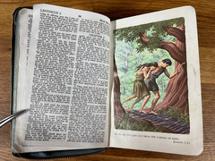 1960s Childs Holy Bible Book King James Vivid Color Illustrations Distressed