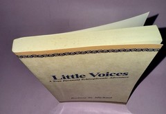 Little Voices: A True Paranoid Schizophrenic Adventure by Rodney St Michael
