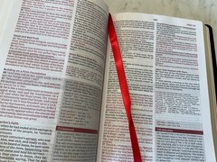 KJV Word Study Reference Bible 2023 Black Leather-Soft SEALED
