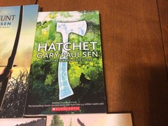 Complete Set Lot Of 5 BRIAN Books Paulsen HATCHET River HUNT Return WINTER (L2)