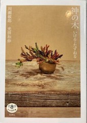 Toshiro Kawase – “God’s Tree: Go/Visit” Japanese sacred tree art