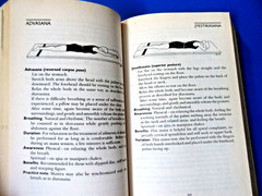 Asana Pranayama Mudra Bandha by Swami Satyananda Saraswati PB 2009