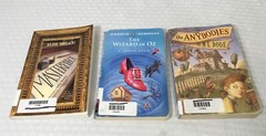 LOT OF 15 YOUNG ADULT NOVELS / MULTIPLE TITLES & AUTHORS / PAPERBACK